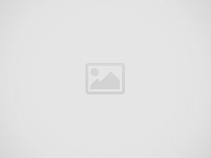 加利福尼亞州奧蘭治縣的30條最好的寵物友好遠足徑