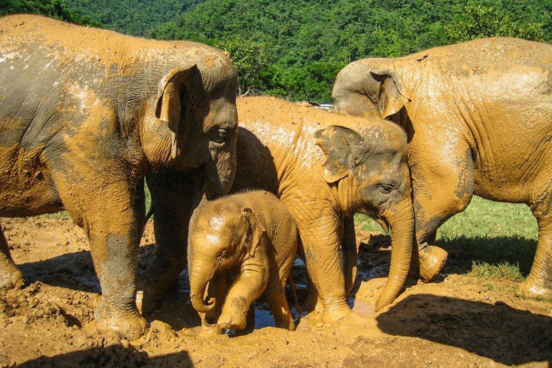 負責旅遊業在泰國的重要性
