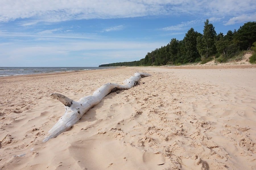 拉脫維亞里加里加的10次驚人而值得的一日遊