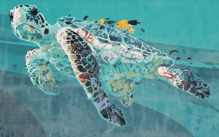 富埃特文圖拉（FuerTeventura