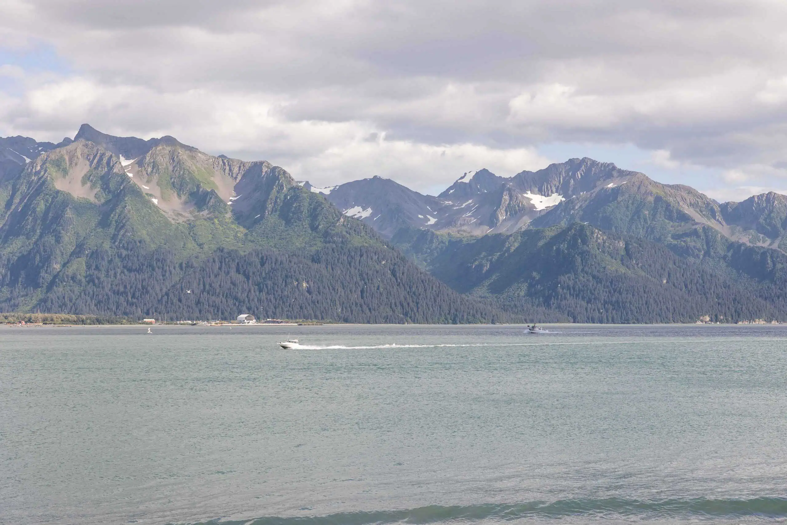 阿拉斯加（來自阿拉斯加）的蘇厄德（Seward）最好的17件事