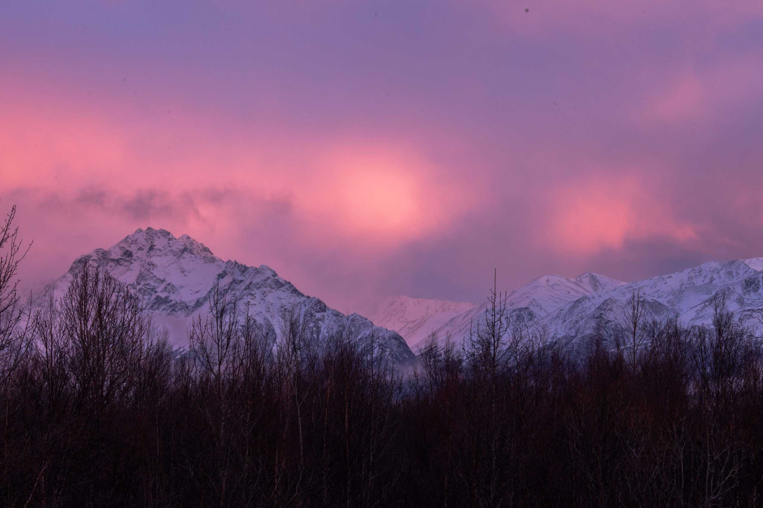 史詩般的7天阿拉斯加冬季行程：亮點