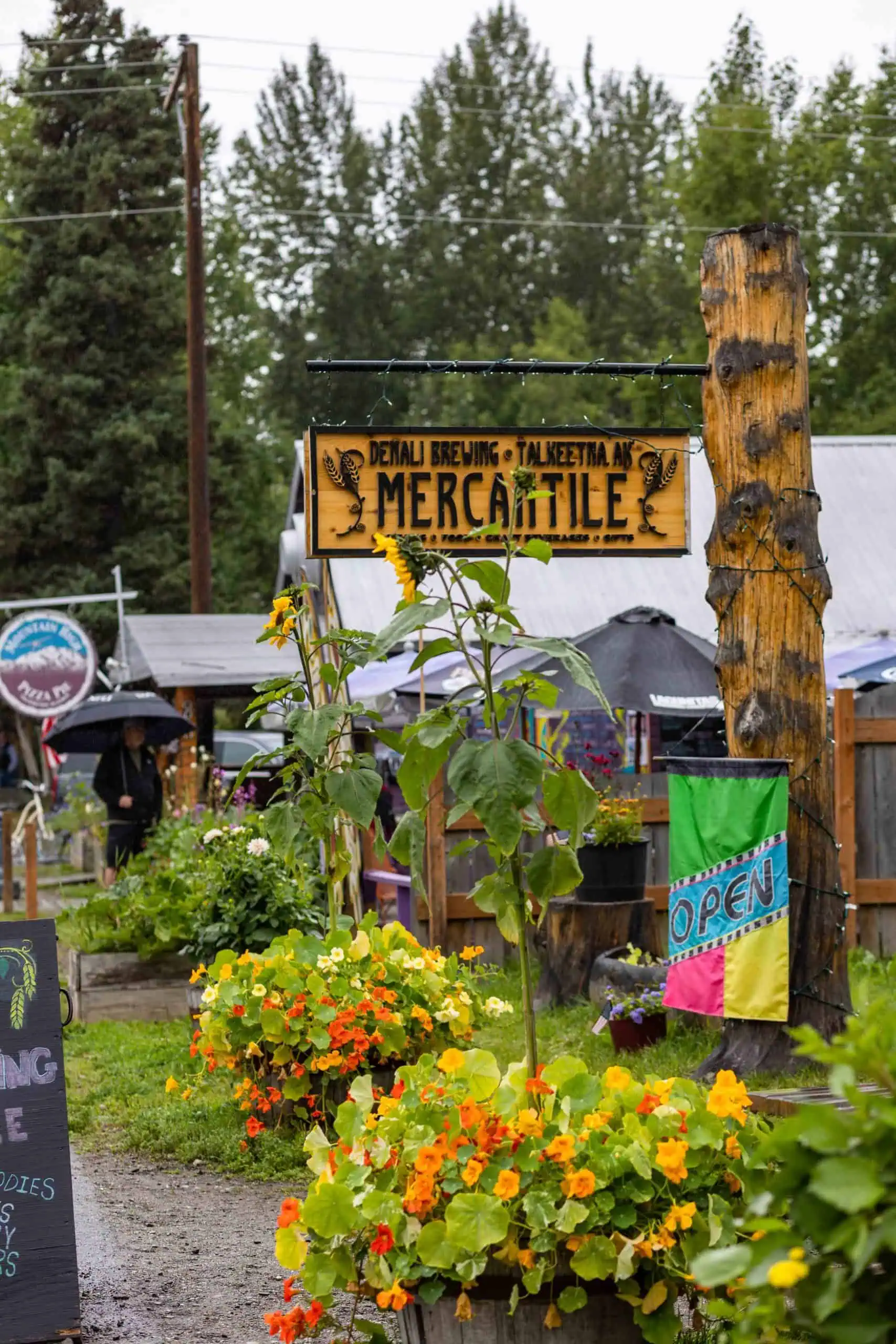 15個在道路系統上阿拉斯加的最佳小鎮（來自當地）