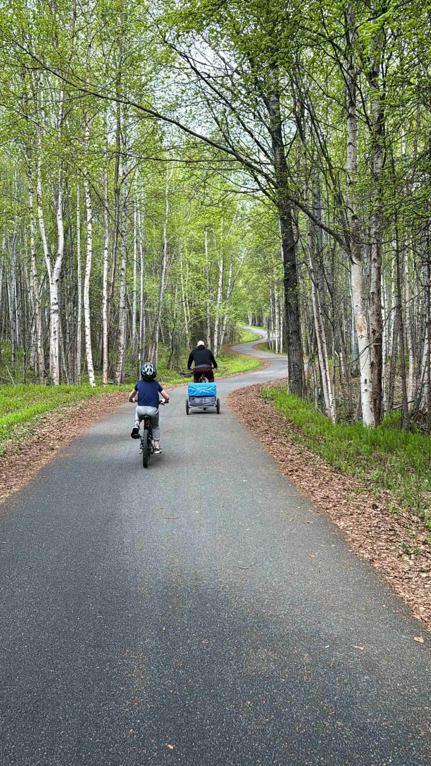 安克雷奇與孩子們的最佳活動（夏季和冬季）