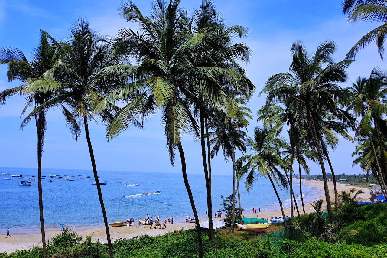 印度慶祝新年的最佳地點