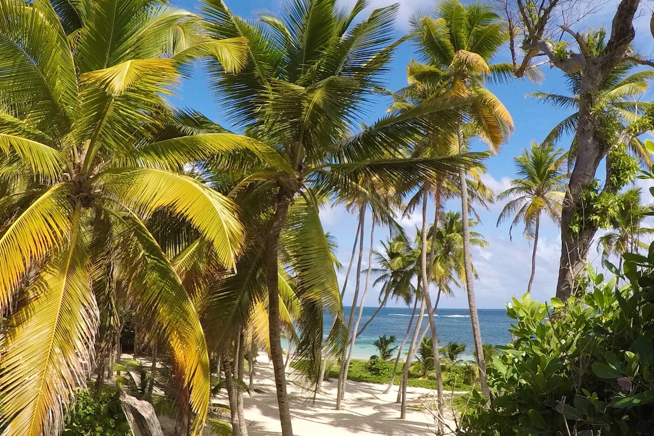 馬提尼克旅行和背包旅行指南