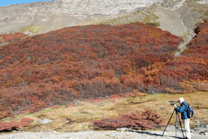 阿根廷Ushuaia的20件事