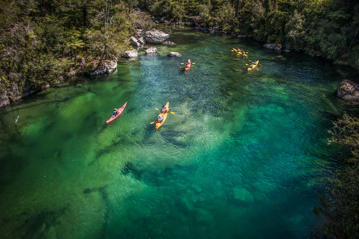 在新西蘭的陽光城納爾遜有20件事