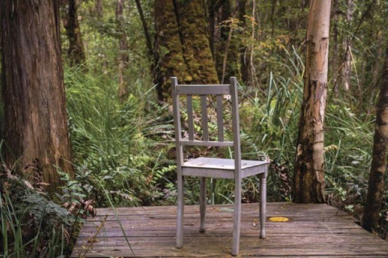 令人沮喪的沼澤叢林