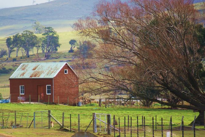 住在塔斯馬尼亞州