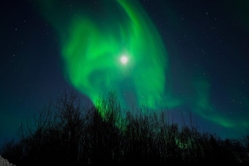 如何在基魯納預訂最佳北極光之旅（+小費）