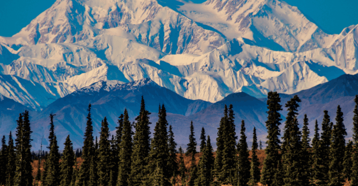 11令人驚嘆的州似乎沒有人訪問