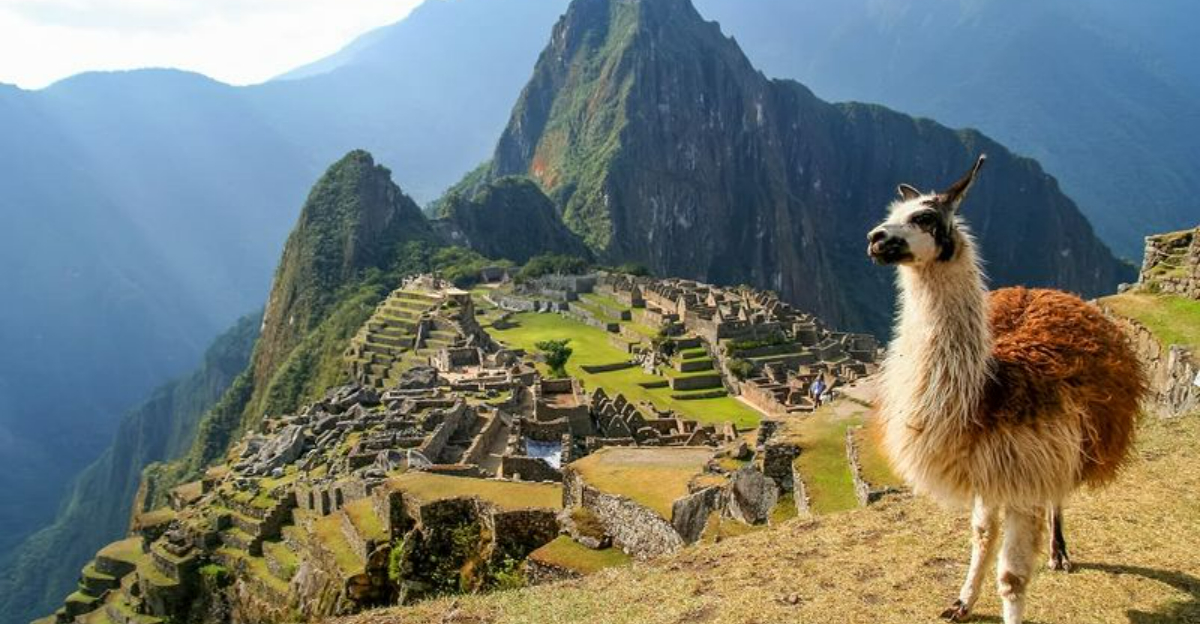 我去過100多個國家。我想回到這8個