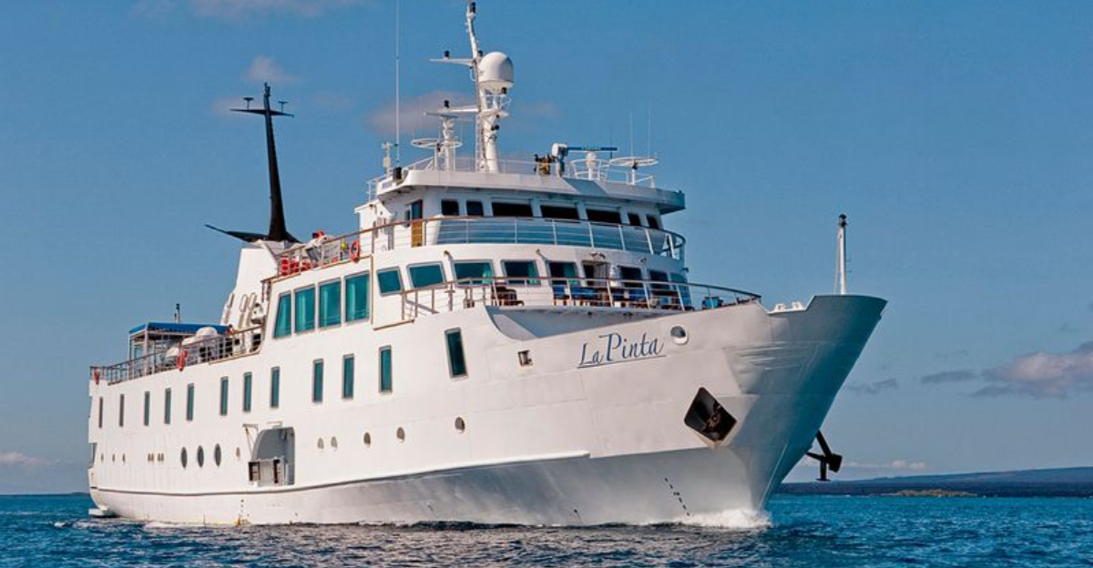 2025年及以後的7個最佳加拉帕戈斯巡遊