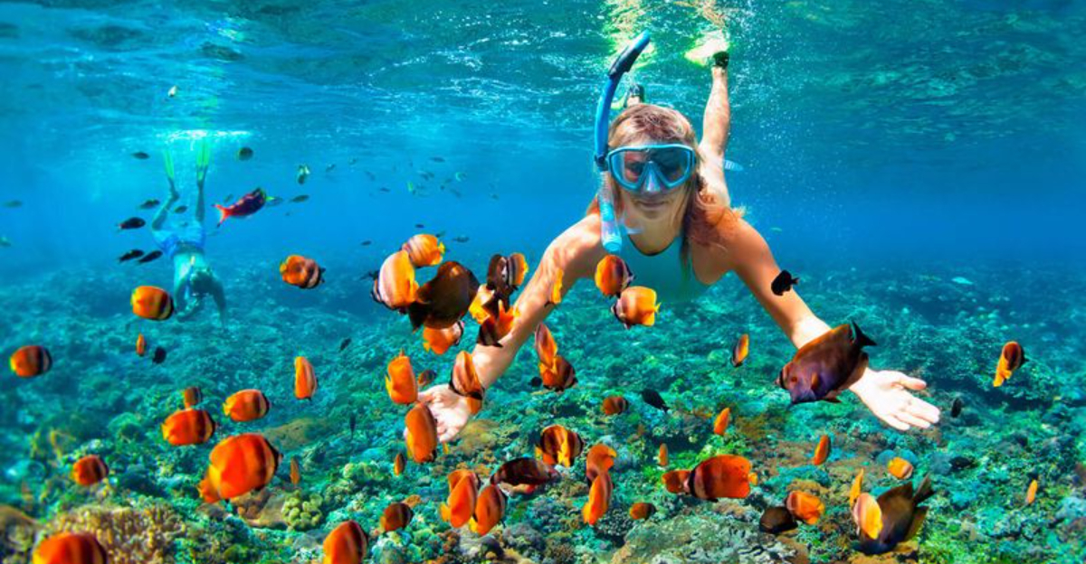 在全球這21個獨特的浮潛景點中潛入冒險